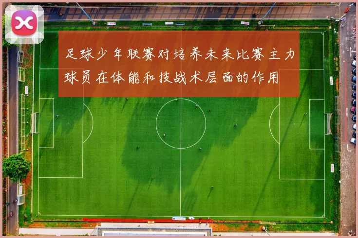 足球少年联赛对培养未来比赛主力球员在体能和技战术层面的作用