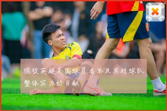 现役英超美国球员名单及其对球队整体实力的贡献