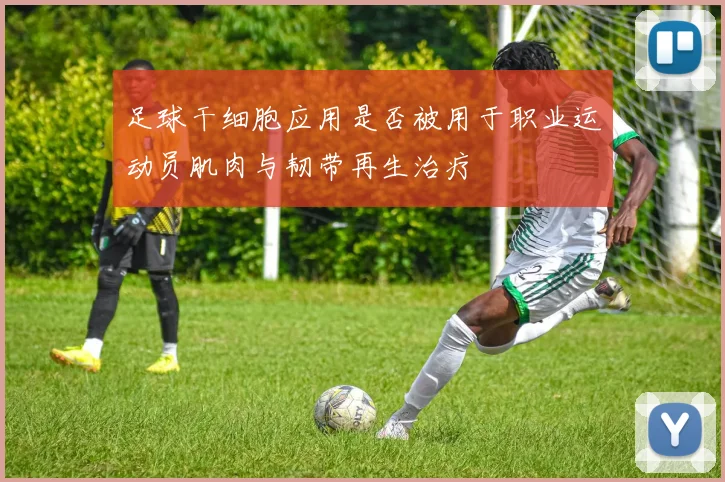 足球干细胞应用是否被用于职业运动员肌肉与韧带再生治疗
