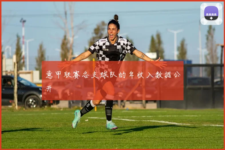 意甲联赛各支球队的年收入数据公开